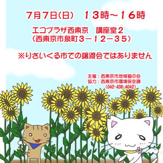 【西東京市】保護猫の譲渡会(西部池袋線・西部新宿線)