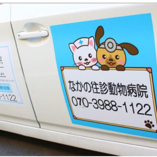 【往診専門動物病院☆新規】女性獣医師が東京都世田谷区よりペットの診...
