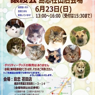 6 23 日 おーあみ避難所里親会 In 島忠 荏田店 おーあみ避難所 江田のその他のイベント参加者募集 無料掲載の掲示板 ジモティー
