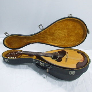 国産 マンドリン M-30 venezia 石川捷二郎監修 オプティマ 弦