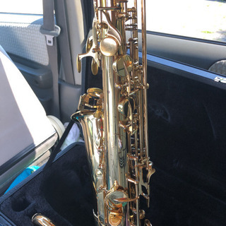 ヤナギサワ   アルトサックスA991
