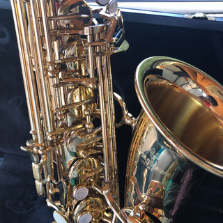 ヤナギサワ   アルトサックスA991