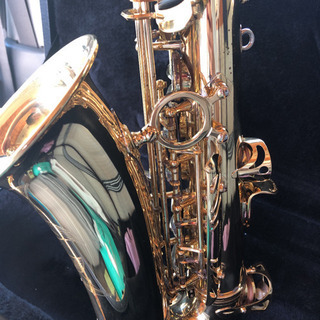 ヤナギサワ   アルトサックスA991