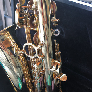 ヤナギサワ   アルトサックスA991