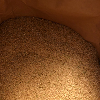 令和1年 新米 お米 キヌヒカリ 30kg 玄米 複数可 配達可