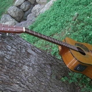 ☆取引完了☆SIGMA by Martin DR‐1ST トップ単板 エレアコ