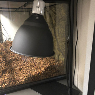 GEX 爬虫類 ケージ 9045 ライトドーム18cm