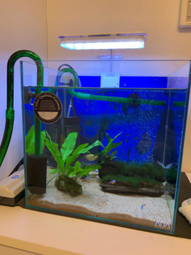 ADA 30キューブ 水槽　他セット