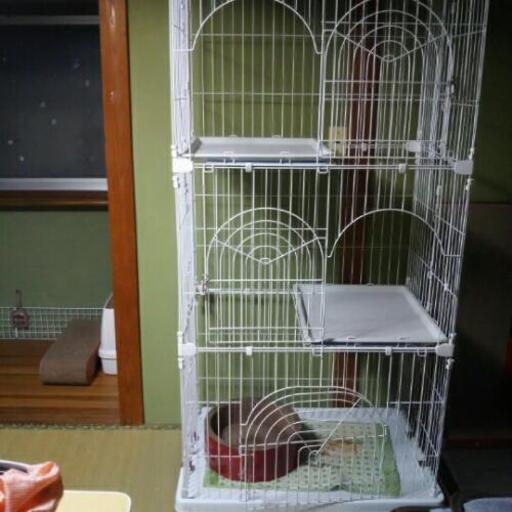 一流の品質 中古 猫用 三段ケージ ガリガリサークル デオトイレ その他