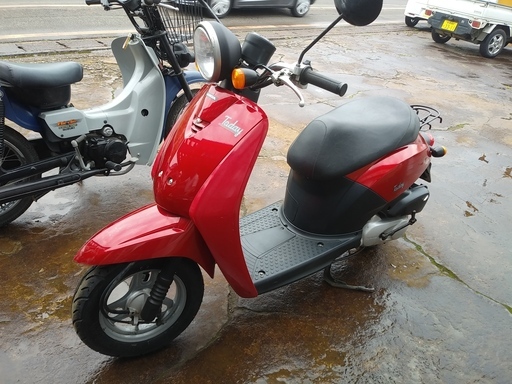 中古　ホンダトゥデイ50　赤