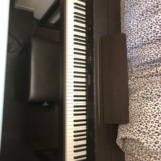 ワルシャワの覇者 未開封 ショパンコンクール DVD 32枚セット ショパン