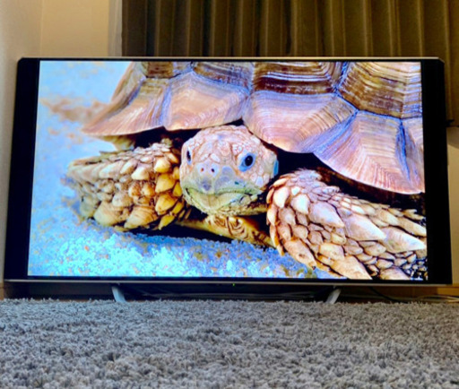 SHARP 60インチテレビ(大幅お値下げ中！) | rodeosemillas.com