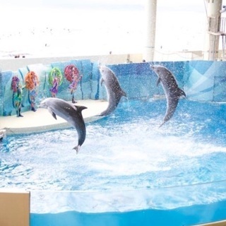 【1200円！】新江ノ島水族館に遊びに行きましょう！