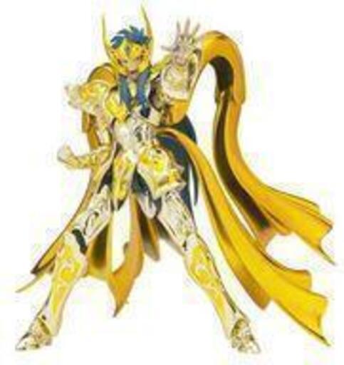 【未開封・未使用】アクエリアスカミュ