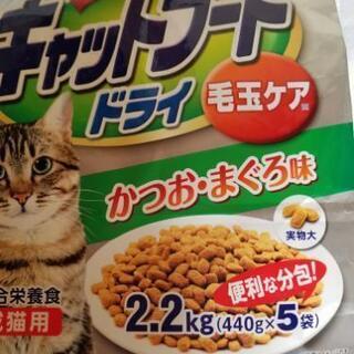 キャットフード ドライ かつお・まぐろ味