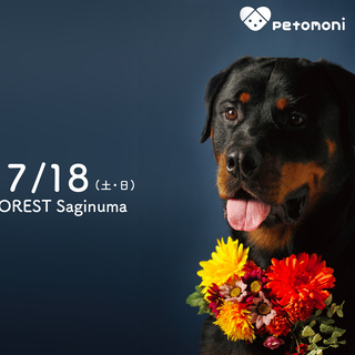 【PETFOREST　鷺沼店】8月17日・18日(土日)  ペッ...