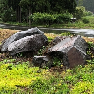 庭石差し上げます。