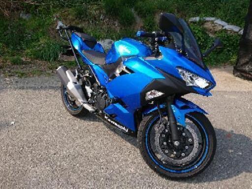現行 新型 ninja 250 ブルー オプション充実 極上 転倒無 ニンジャ カワサキ