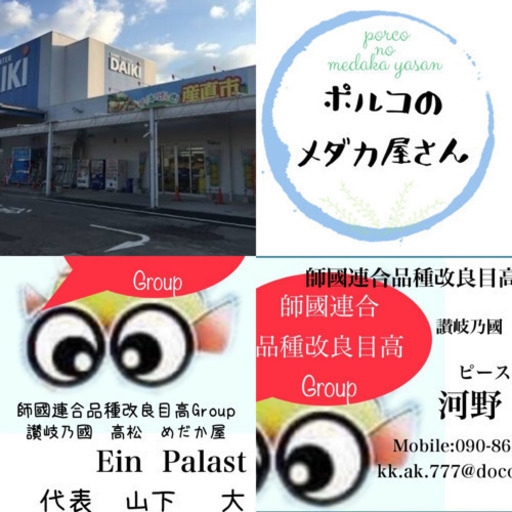 ダイキ上福岡 七夕めだかイベント だい 林道のその他の無料広告 無料掲載の掲示板 ジモティー ダイキ上福岡 七夕めだかイベント だい 林道のその他の無料広告 無料掲載の掲示板 ジモティー