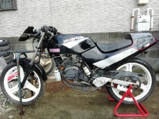 NS-50F サーキット用 N5 NS50F ゴエフ