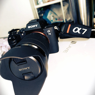 2日使用！SONY α7iii レンズキット