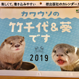 2019壁掛けカレンダー カワウソ 竹千代＆葵