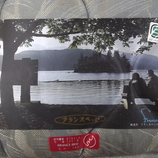 ID:G880884 ダブルベッド（宮付）堅めのマットレス