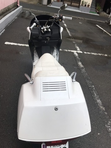 鹿児島市内 フュージョン