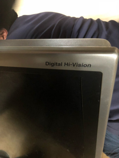 世界の亀山 46V型