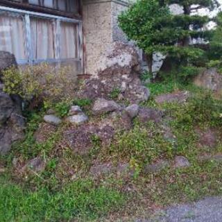 庭の岩