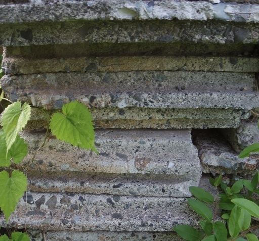 舗装ぬかるみコンクリート敷石畦畔ブロックケイハンブロック一枚の価格庭エントランスガーデニング畝田んぼ補修 Sak 郵送代引可能 北杜のインテリア雑貨 小物 置物 オブジェ の中古あげます 譲ります ジモティーで不用品の処分 舗装ぬかるみコンクリート敷石畦畔ブロックケイハンブロック一枚の価格庭エントランスガーデニング畝田んぼ補修 Sak 郵送代引可能 北杜のインテリア雑貨 小物 置物 オブジェ の中古あげます 譲ります ジモティーで不用品の処分