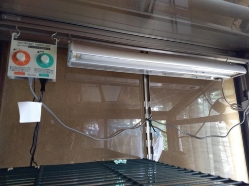 売れました 入手困難 グラストラッカー ボルティ ST250 社外オイル