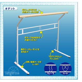 バレエ用レッスンバー&リノリウムシート 計2点セット