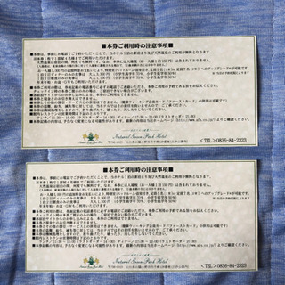 8名分無料宿泊券☆天然温泉☆ナチュラルグリーンパークホテル