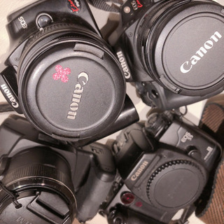 純正Canon おまとめセット☆ カメラ 交換レンズ フィルター