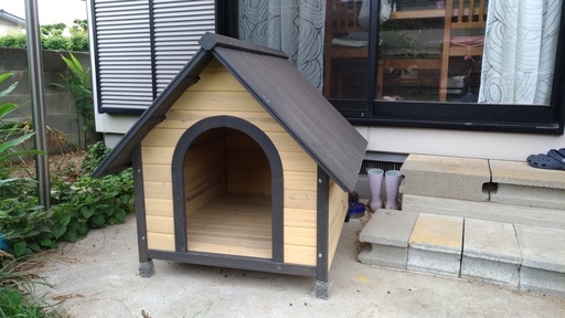 犬小屋あげます Queenpopy 太宰府のその他の中古あげます 譲ります ジモティーで不用品の処分 犬小屋あげます Queenpopy 太宰府のその他の中古あげます 譲ります ジモティーで不用品の処分