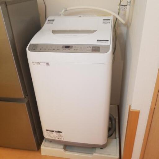 2019年製美品SHARP　電気洗濯乾燥機