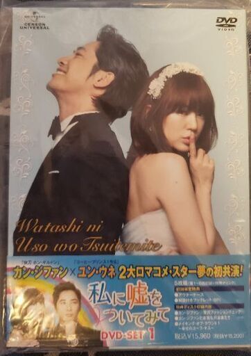 韓国ドラマDVD(私に嘘をついてみて)