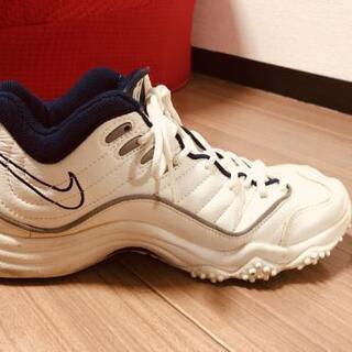 レア！NIKE AIR ZOOM FLIGHT FIVE 状態良い！