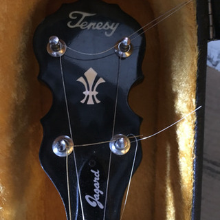 テネシージャガードギター