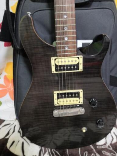 PRS SE custom 22 | stainu-tasikmalaya.ac.id