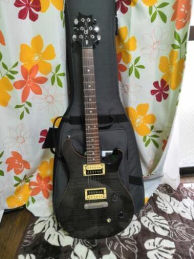 PRS SE custom 22 | stainu-tasikmalaya.ac.id