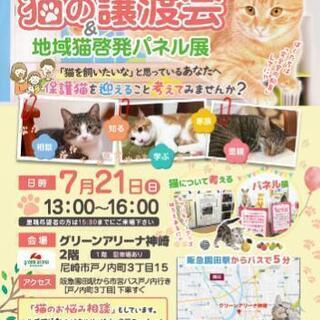 尼崎動物愛護推進員★猫の譲渡会＆地域猫啓発パネル展