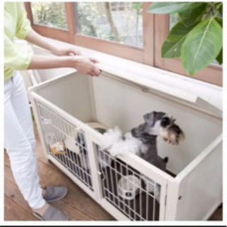 ペットサークル キンタロー 美品