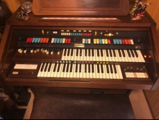 その他 organ