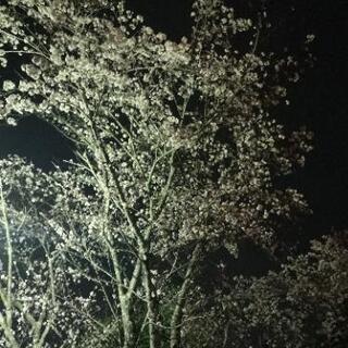 長く付く人🙆友達探し中🙌気軽に!!