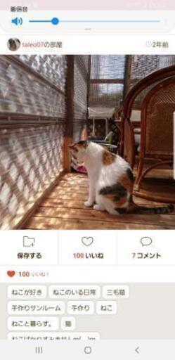 サンルームDIY作れる方☆0.5～押し入れサイズ (シク) 豊洲の手伝って 