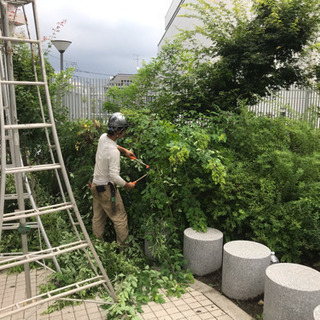 アパート♪マンション♪団地の植栽管理なら 庭の手入れ店へ 所沢市 埼玉県内都内 − 埼玉県