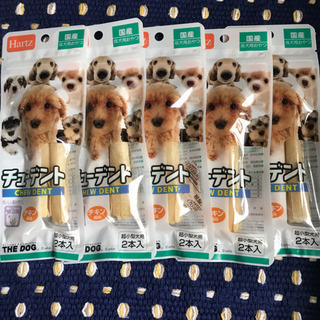 チューデント☆超小型犬サンプルパック