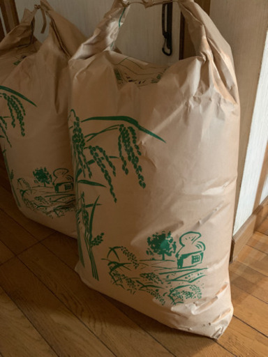 平成30年ハツシモ30kg